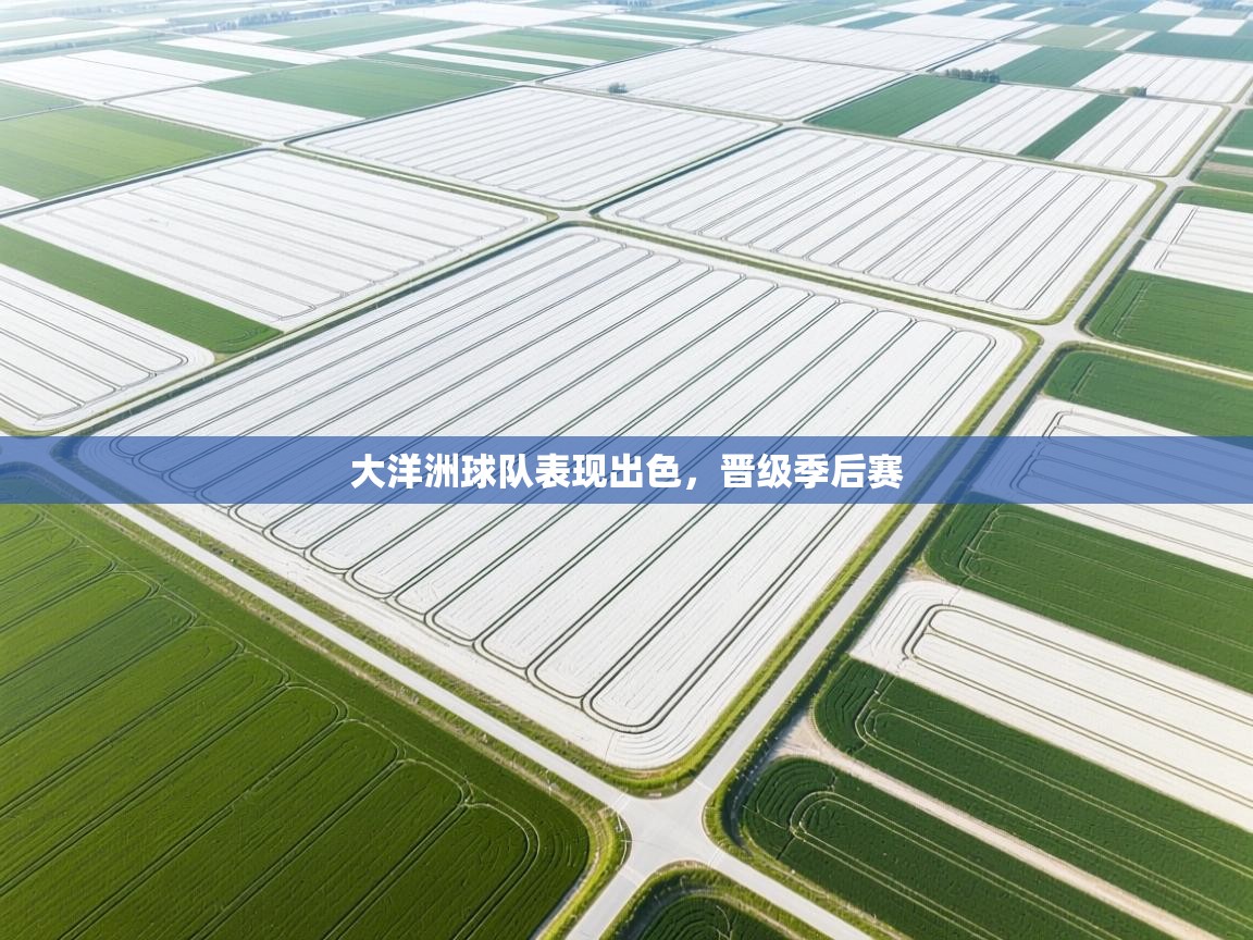 大洋洲球队表现出色,晋级季后赛 第2张