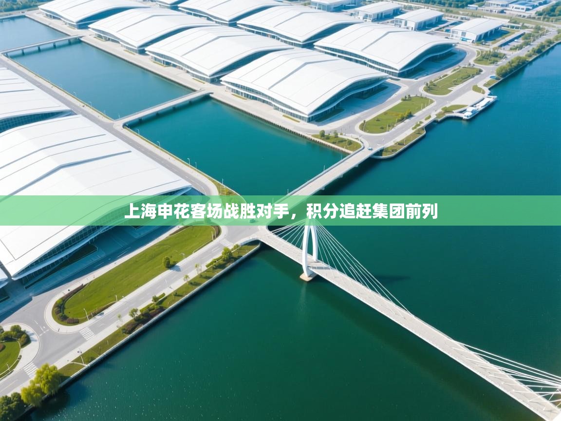 上海申花客场战胜对手，积分追赶集团前列  第1张