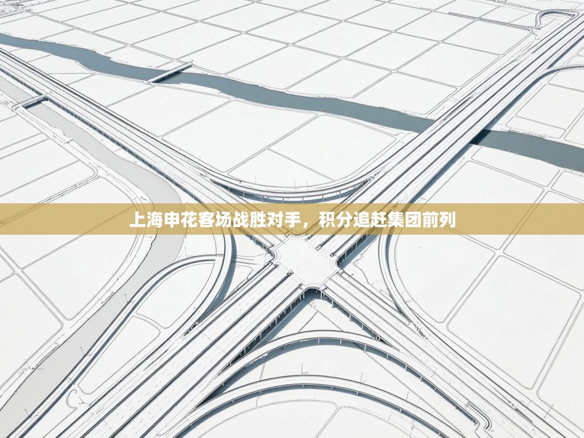 上海申花客场战胜对手，积分追赶集团前列  第2张