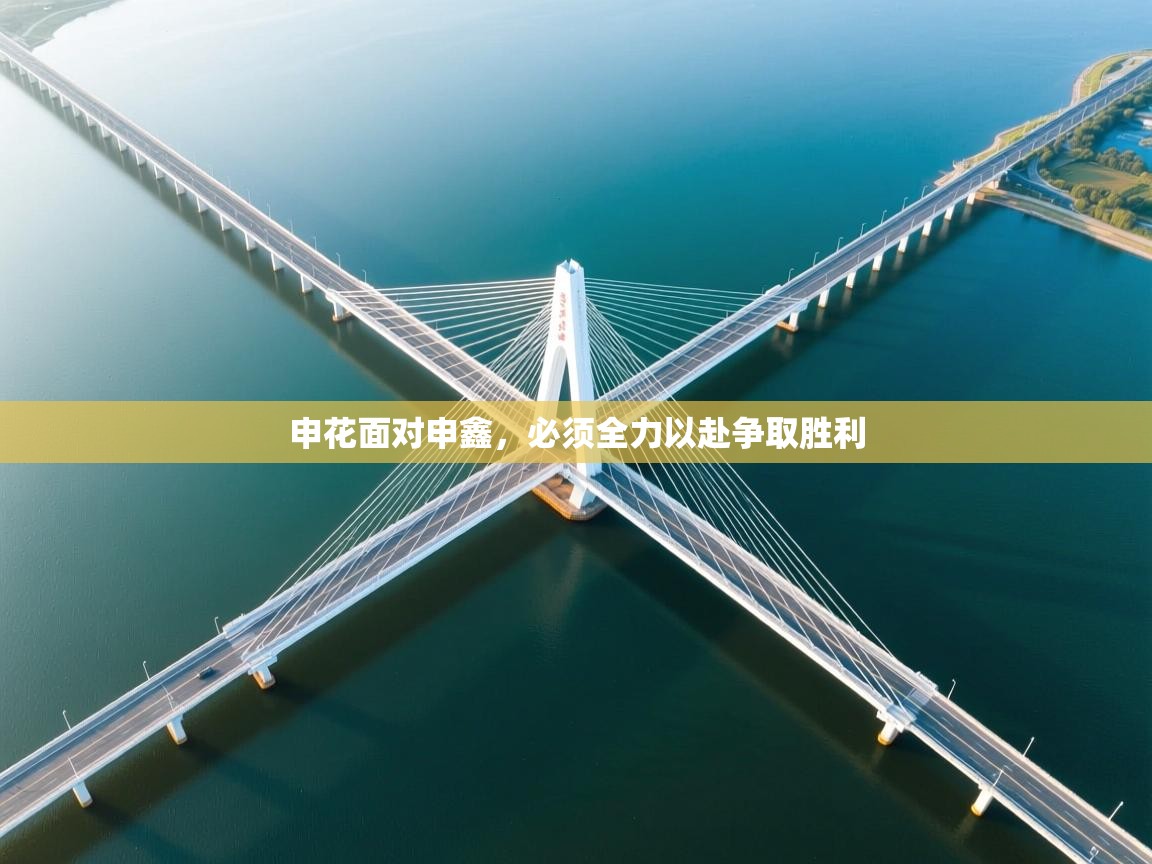 申花面对申鑫，必须全力以赴争取胜利  第1张